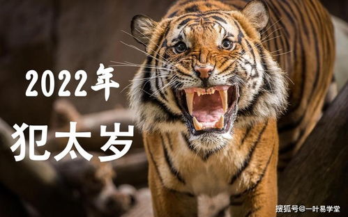 2026年化解太岁手机和摆件分别是什么意思？