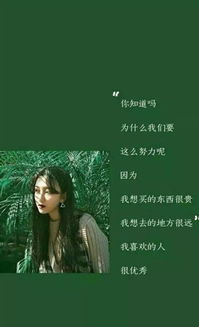 深夜情感共鸣与生肖运势关联之学术报告