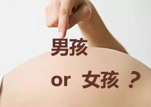 梦境内容的性别差异：情感与现实