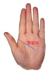 看手相真的能盗取掌纹吗？揭秘看手相的十大秘密？