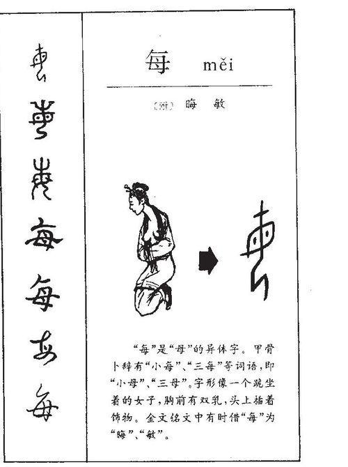 惯与“木”字的深度解读 (有点跑题了哈…)