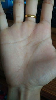 属狗人的狗掌心手相，能揭示怎样的吉凶命运之谜呢？