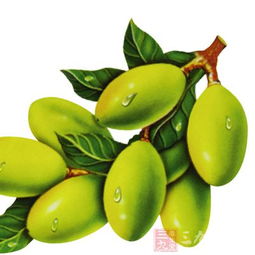 （二）调节血压、 维护心血管健康