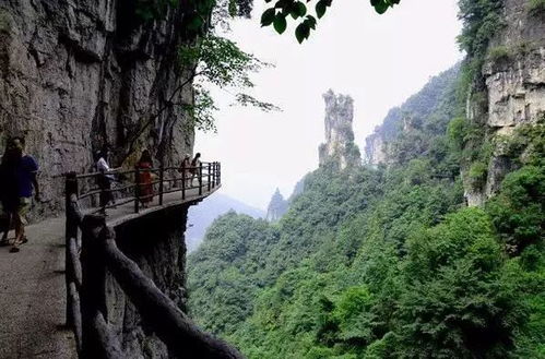 震惊！洞阳坡这个鬼地方居然有人去？！2026年黄历显示宜破财？！