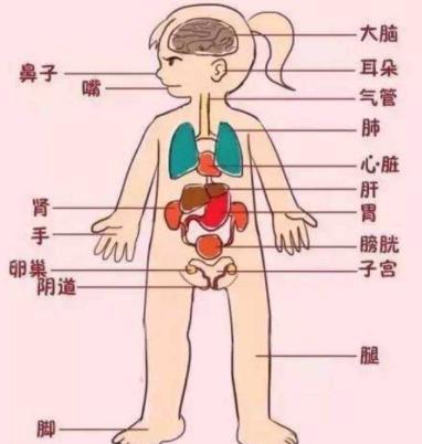 五、 牙齿——自我形象与言语表达的焦虑