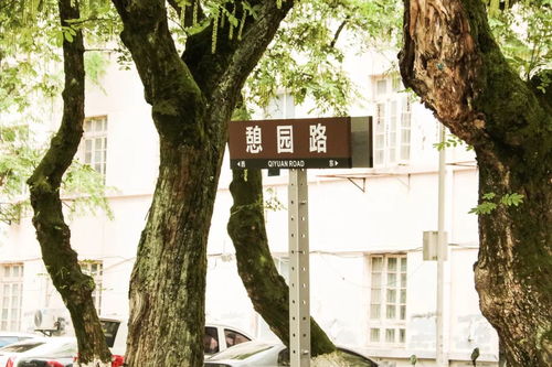 第一印象是啥？