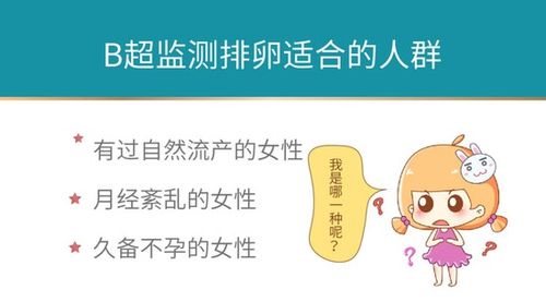 提升检测准确性的提议