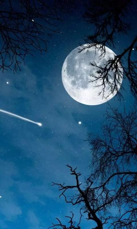 中秋之夜的神秘氛围