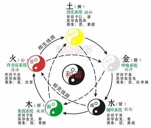 ：五行哲学中的金火关系概述