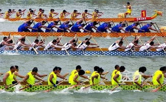 端午节赛龙舟打一生肖指的是什么生肖？