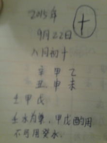 精选字词， 打造独特的名字