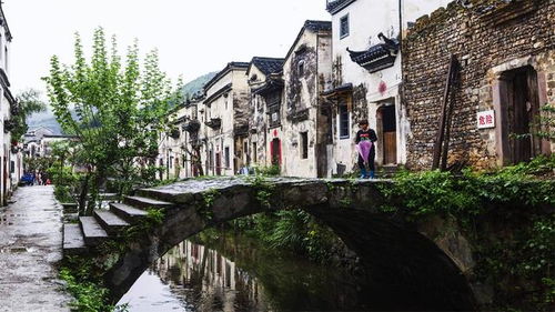 芹川古镇省钱秘籍！2026年黄历显示这天去最吉利！