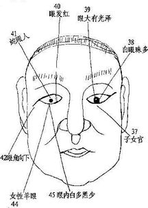 阅人三十六术中， 牙齿之术：面相解读与命运关联