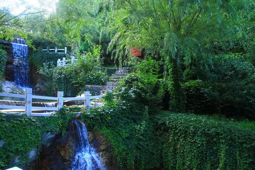 响水湖——一个让你怀疑人生的魔幻现实主义景区