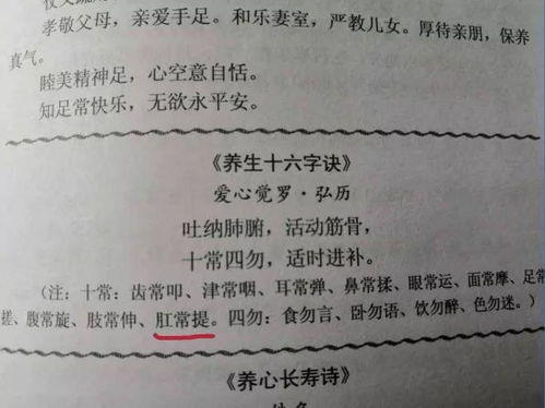 ：初天麟婚配秘籍的文化内涵与现代价值