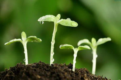 七月七这个日子，适合庆祝吗？