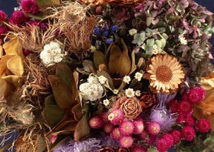 干花？那是上个世纪的老古董！