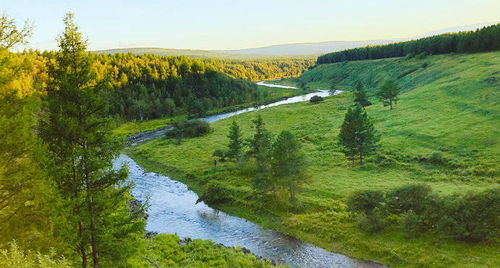 阿尔山国家森林公园：美得不像话但也累得不像人
