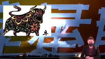 热火朝天与哪个生肖最为契合？最准确的生肖是？