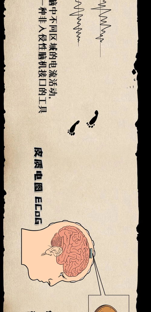 技术层面的脑机接口解析