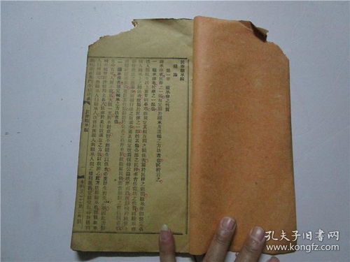 浮图塔第34章中，主人公如何解决神秘幻境的谜题？