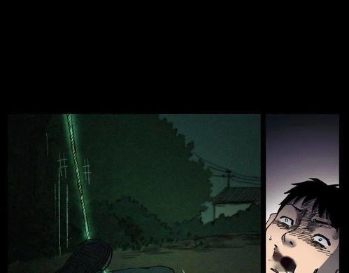 一、 研究背景与目的——从家族叙事视角探讨“午夜回响”之隐蔽密码