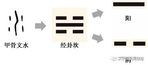 a) 阴阳属性划分与性别对应规则
