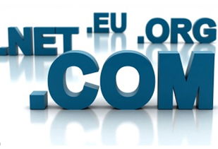 如何挑选一个既符合品牌形象又便于记忆的域名？