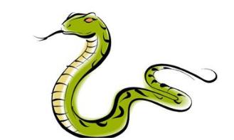 2026年属蛇的人婚姻运势如何，爱情和婚姻生活会顺利吗？