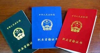 1.1 公示时间段的具体表现形式