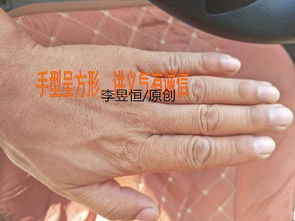 二、 手相特征：揭示潜在的情感风险