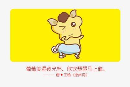 二、 财运解析