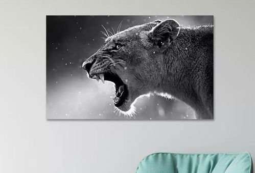 二、 动物标本及猛禽图像之危害