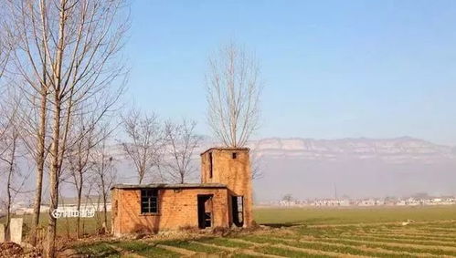 南方纵有三亩地打一生肖是什么意思？山川初展国土宽打一生肖是什么意思？改写为长尾：南方纵有三亩地及山川初展国土宽分别指的是哪种生肖？