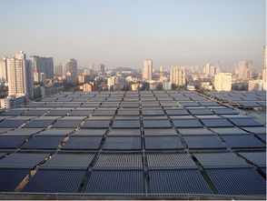 2. 星座与个性化需求的契合