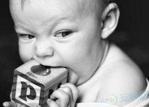 海量推荐总有一款适合你！