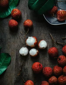 （三） 湘中湘北：童子鸡的营养补充与生长诉求