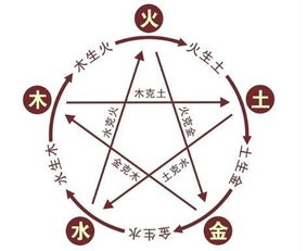 从八字视角审视儿童成长路径之综合讨论