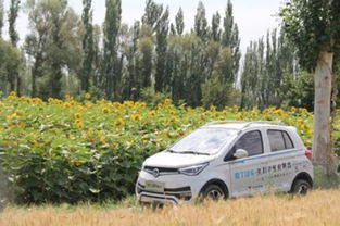 绪论：孕妇梦见泥泘山路之探究背景与意义