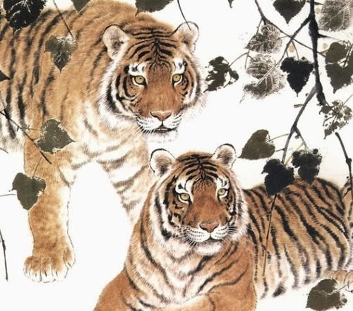 阳肖指的是哪几个生肖，它们分别对应哪些动物？