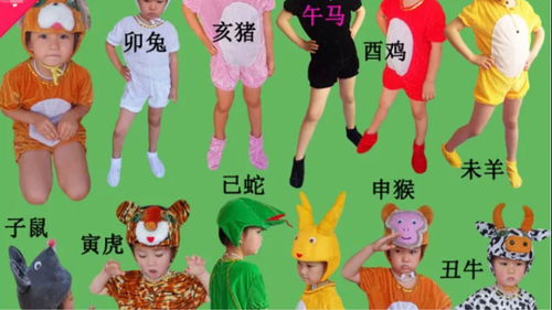 1.1 五行喜土之配色