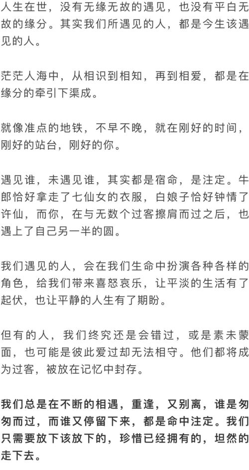 八字与十二地支理论基础