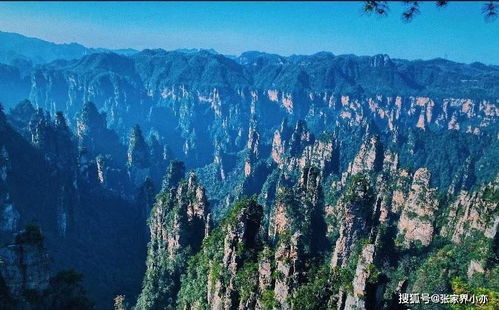 门票价格让你心梗