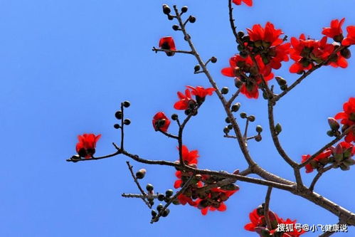 五福临门与岁寒三友