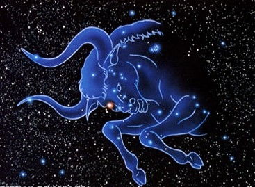 金牛座未来15天运势：一场稀里糊涂的冒险