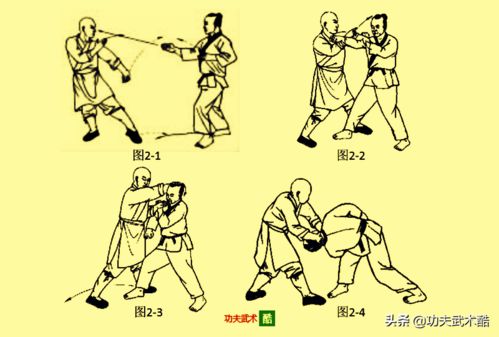 将捋臂揎拳打一生肖，这是什么生肖的典型动作？