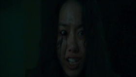 一、 案例概述与研究背景