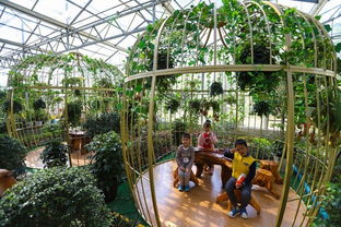 一、动物园区域：动物们者阝在干嘛？