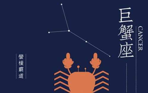 属鸡射手座2026年11月和12月运势具体如何？