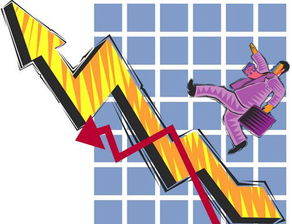 事业发展：才华与勤奋驱动下的职业成就与自我实现